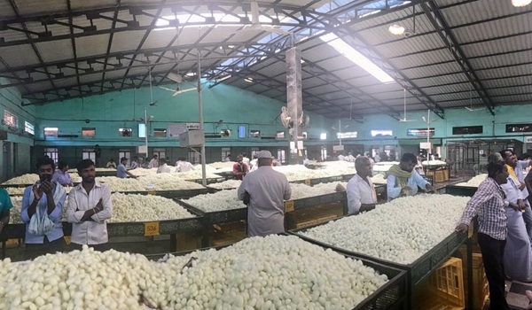 Ramanagara Silk Cocoon Market
